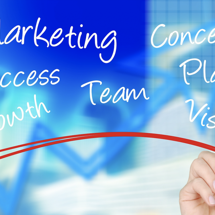 hand underlining in red the words "marketing," "concepts," "success," "growth," "team." "plan," "vision"